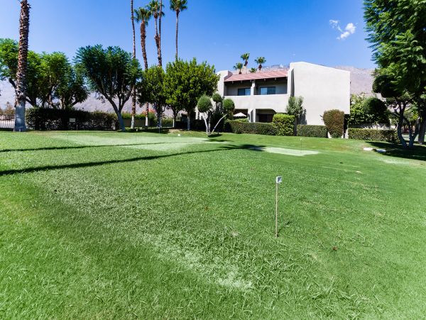 Palm Springs Home 1028287