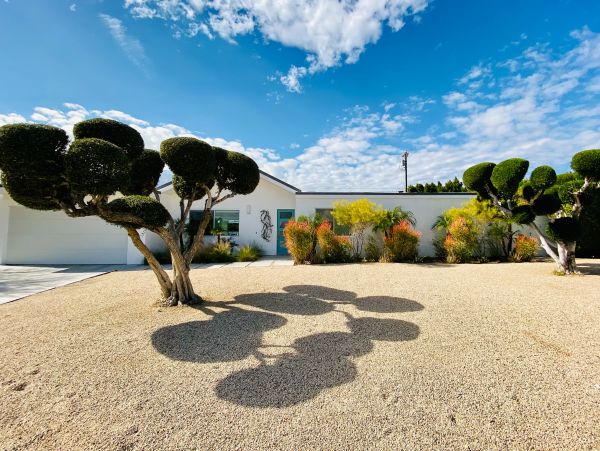 Palm Springs Home 1028298