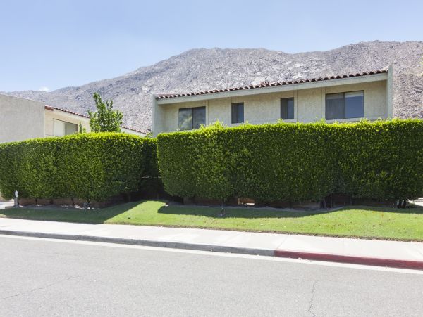 Palm Springs Home 1028306