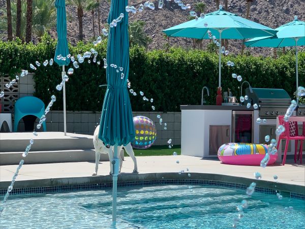 Palm Springs Home 1028307