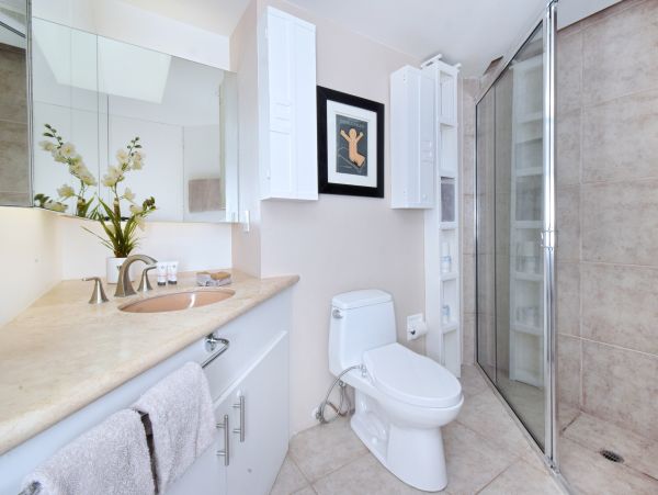 Palm Springs Home 1028314