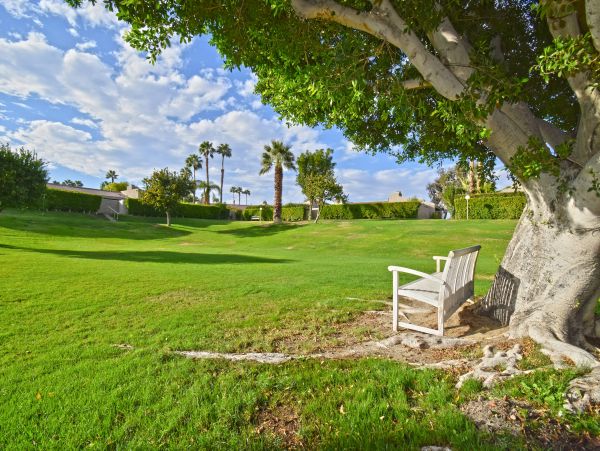 Palm Springs Home 1028314
