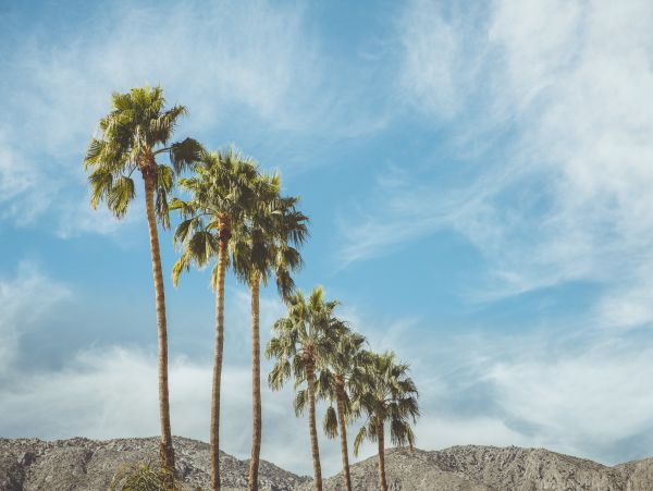 Palm Springs Home 1028323