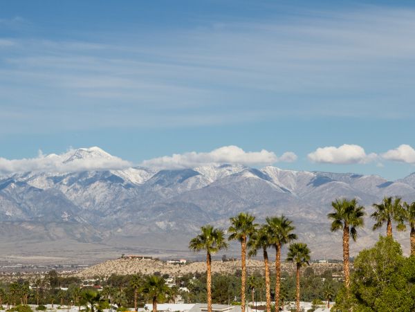 Palm Springs Home 1028323