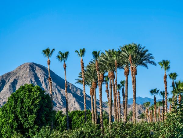 Palm Springs Home 1028323