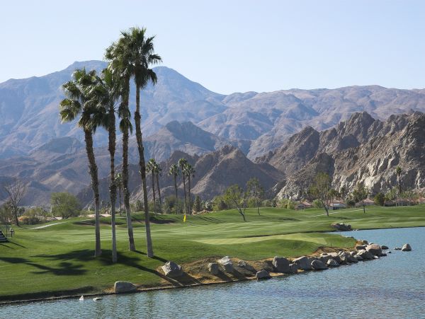 Palm Springs Home 1028334