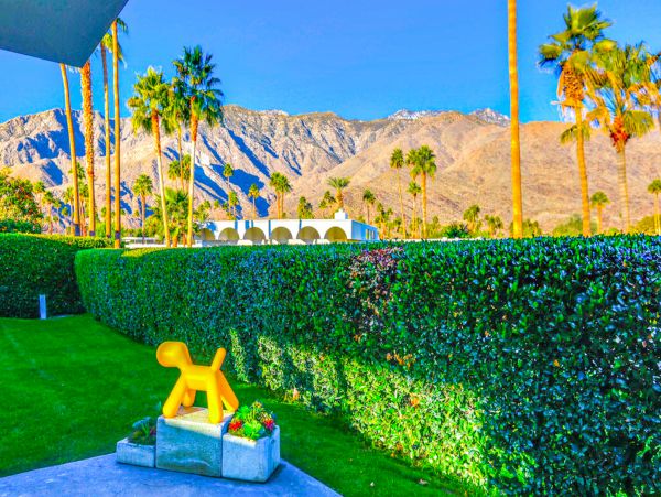 Palm Springs Home 1028355