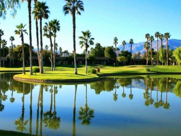 Palm Springs Home 1028378