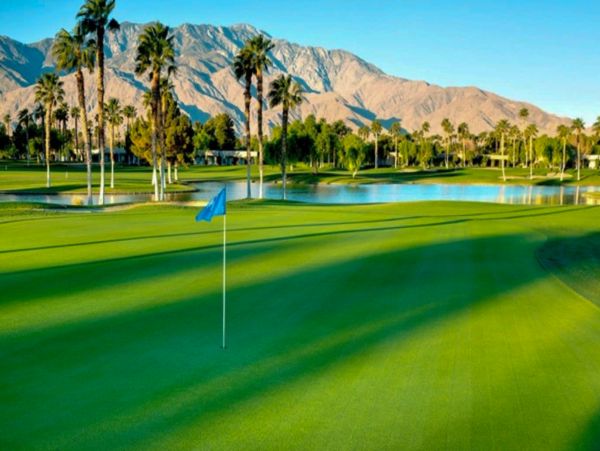 Palm Springs Home 1028378