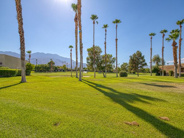 Palm Springs Home 1028385
