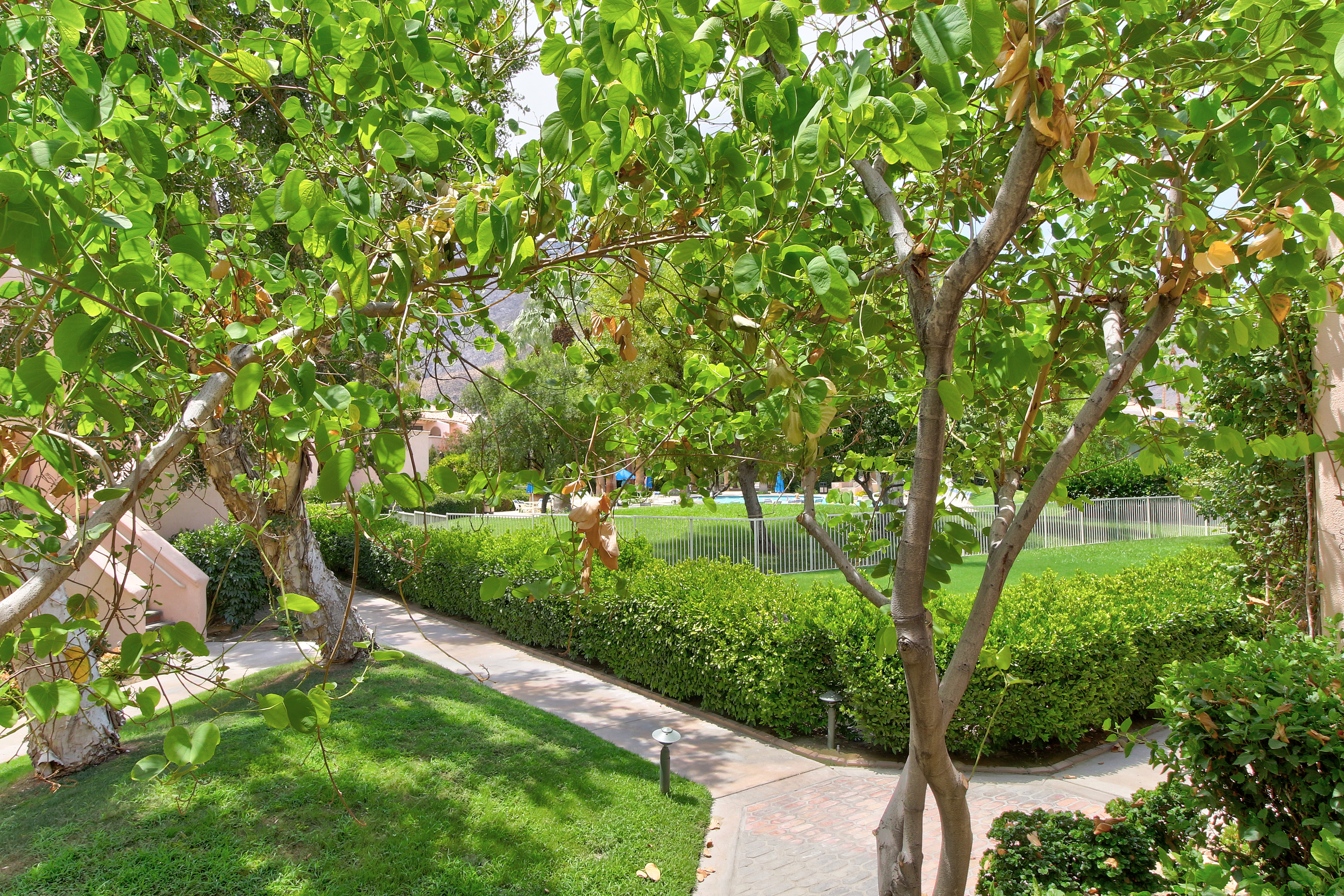 Palm Springs Home 1028387
