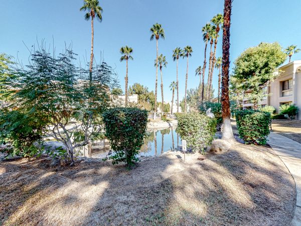 Palm Springs Home 1028388