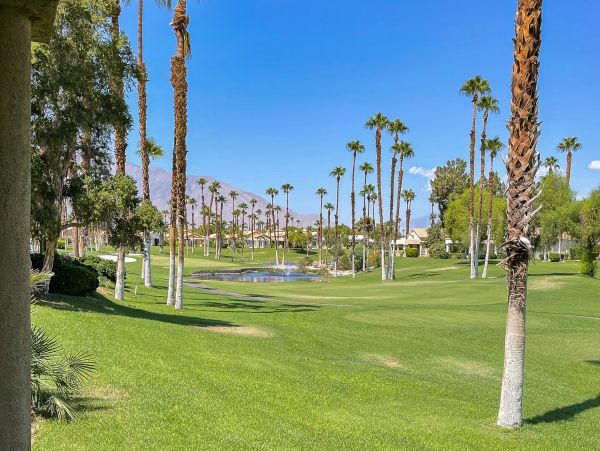 Palm Springs Home 1028392