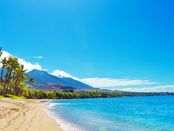 Almost on the beach Superb West Maui Villa.