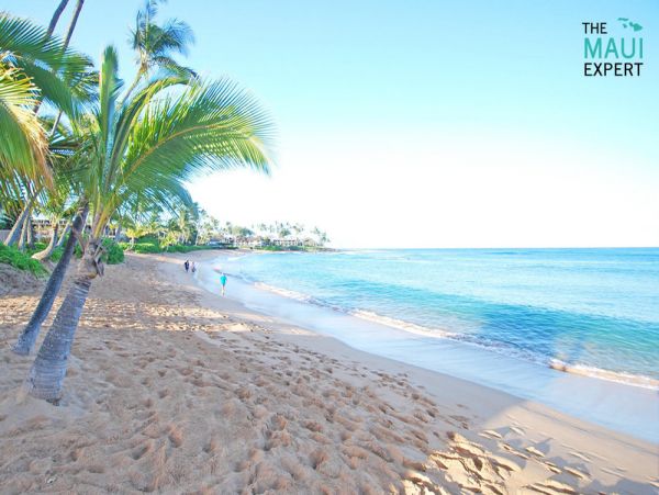 Almost on the beach Superb West Maui Villa.