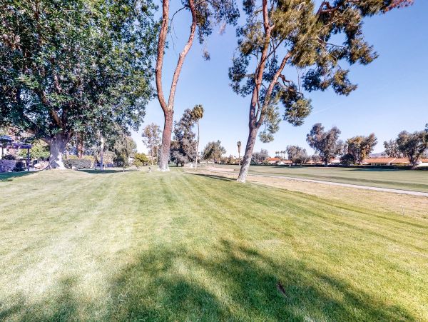 Palm Springs Home 1028418