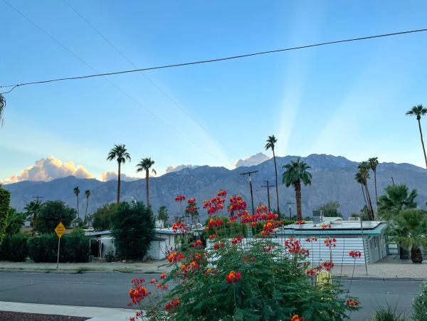 Palm Springs Home 1028423