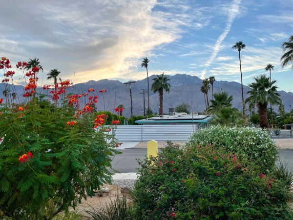 Palm Springs Home 1028423