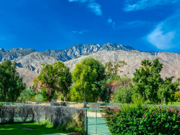 Palm Springs Home 1028433