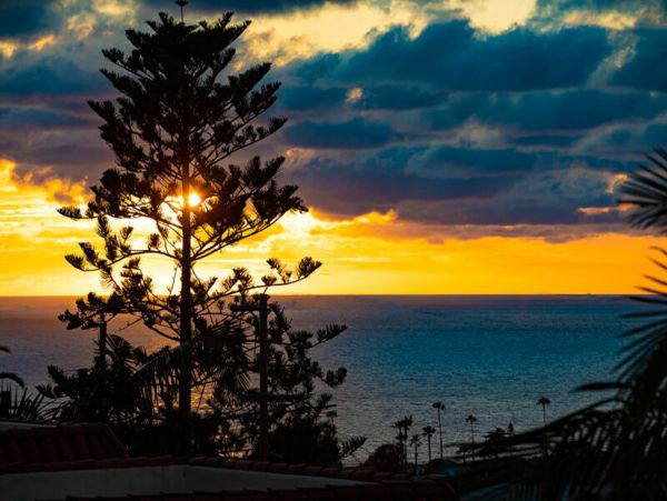 San Diego Beach Communities North Home 1028445