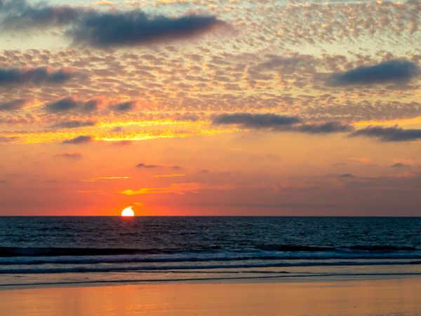 San Diego Beach Communities North Home 1028480