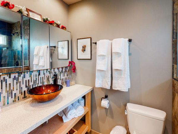 San Diego Beach Communities North Home 1028483
