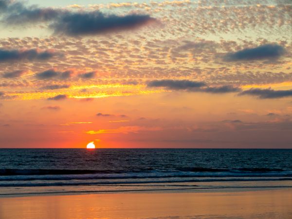 San Diego Beach Communities North Home 1028498