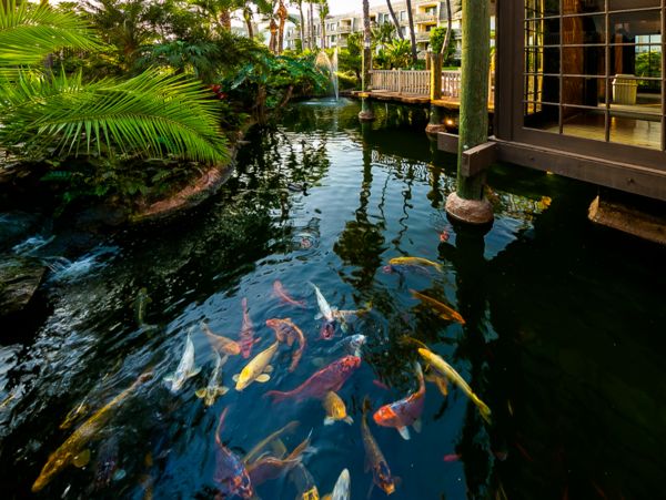 San Diego Beach Communities North Home 1028499