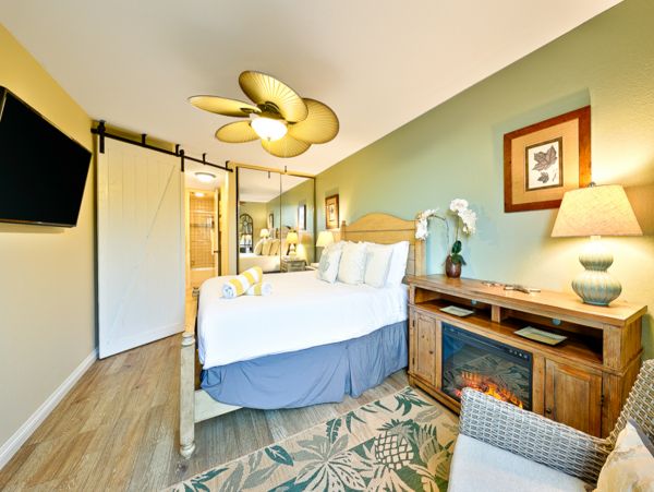 San Diego Beach Communities North Home 1028499