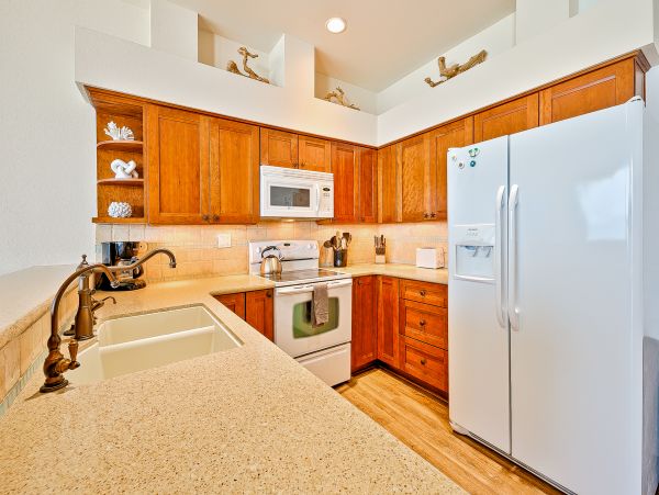 San Diego Beach Communities North Home 1028511