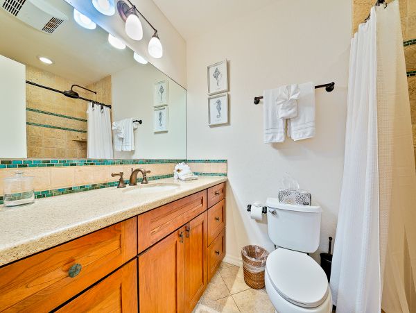 San Diego Beach Communities North Home 1028511
