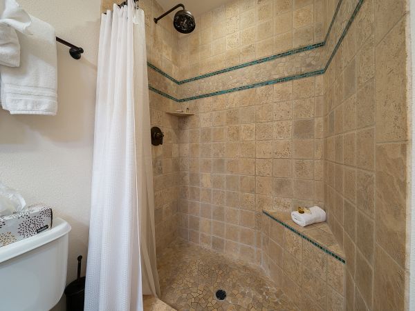 San Diego Beach Communities North Home 1028511