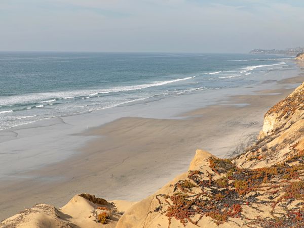 San Diego Beach Communities North Home 1028519