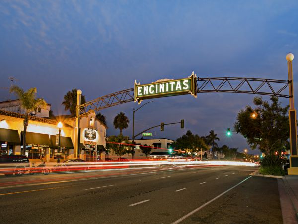 San Diego Beach Communities North Home 1028528