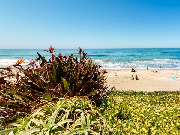 San Diego Beach Communities North Home 1028532