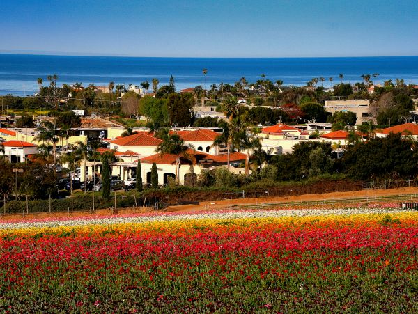 San Diego Beach Communities North Home 1028536