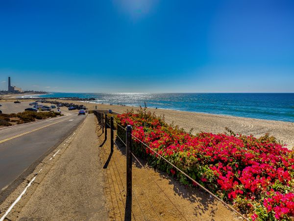 San Diego Beach Communities North Home 1028549