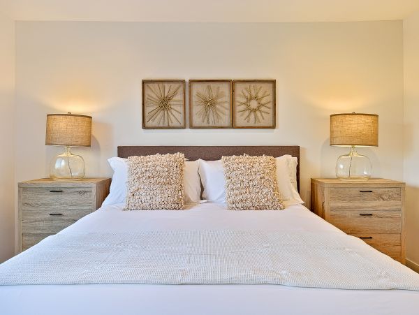 San Diego Beach Communities North Home 1028554