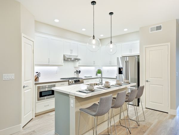 San Diego Beach Communities North Home 1028558