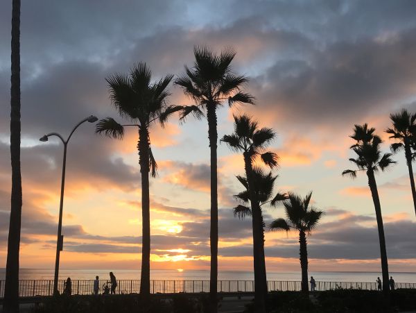 San Diego Beach Communities North Home 1028559