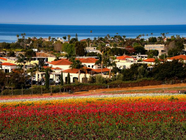 San Diego Beach Communities North Home 1028561