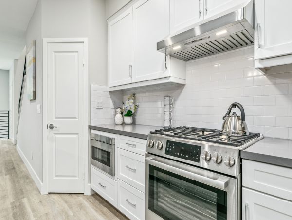 San Diego Beach Communities North Home 1028562