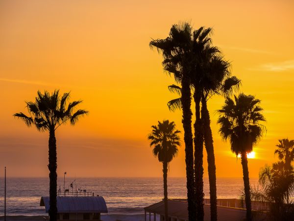 San Diego Beach Communities North Home 1028565