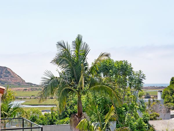 San Diego Beach Communities North Home 1028566