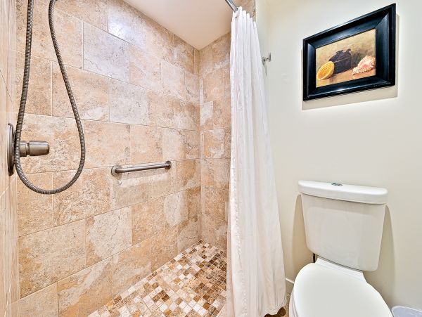 San Diego Beach Communities North Home 1028575