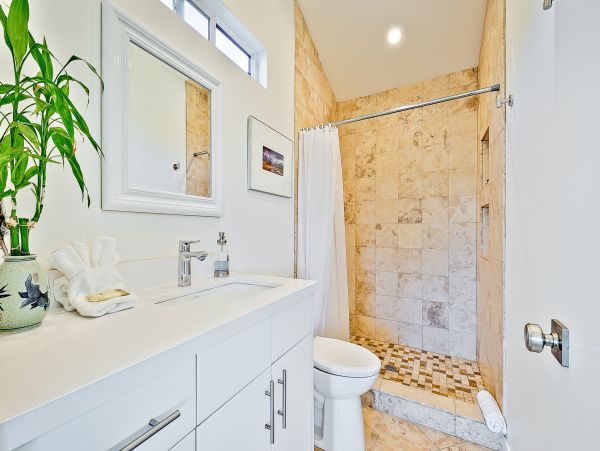San Diego Beach Communities North Home 1028575