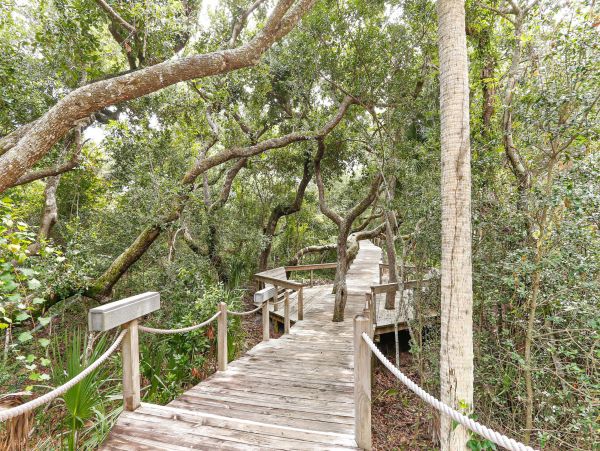 Fernandina Beach Amelia Island Condo 1028610