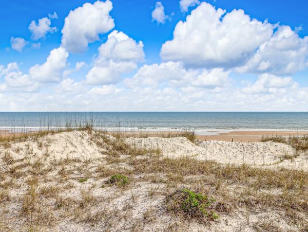 Fernandina Beach Amelia Island Condo 1028614