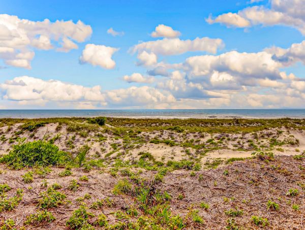 Fernandina Beach Amelia Island Condo 1028626