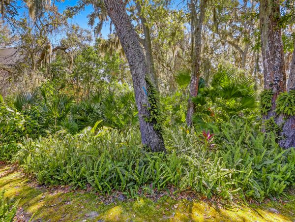 Fernandina Beach Amelia Island Condo 1028660